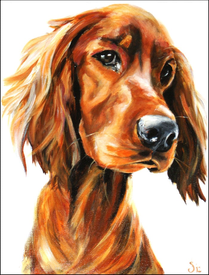 illustration of a long red haired dog with its head tilted