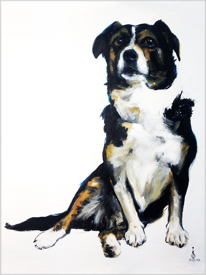 illustration of a small black dog with brown and white accents sitting down