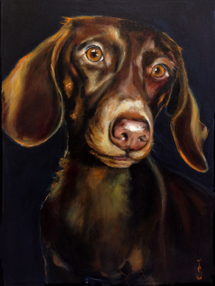 art portrait of a small brown dog looking towards you