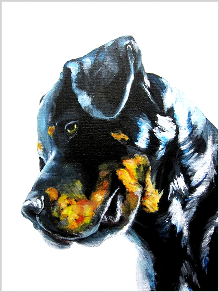 art portrat of a big black dog from the side of its head