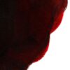 an illustration of a silhouette of the side of a womans face detail of hair