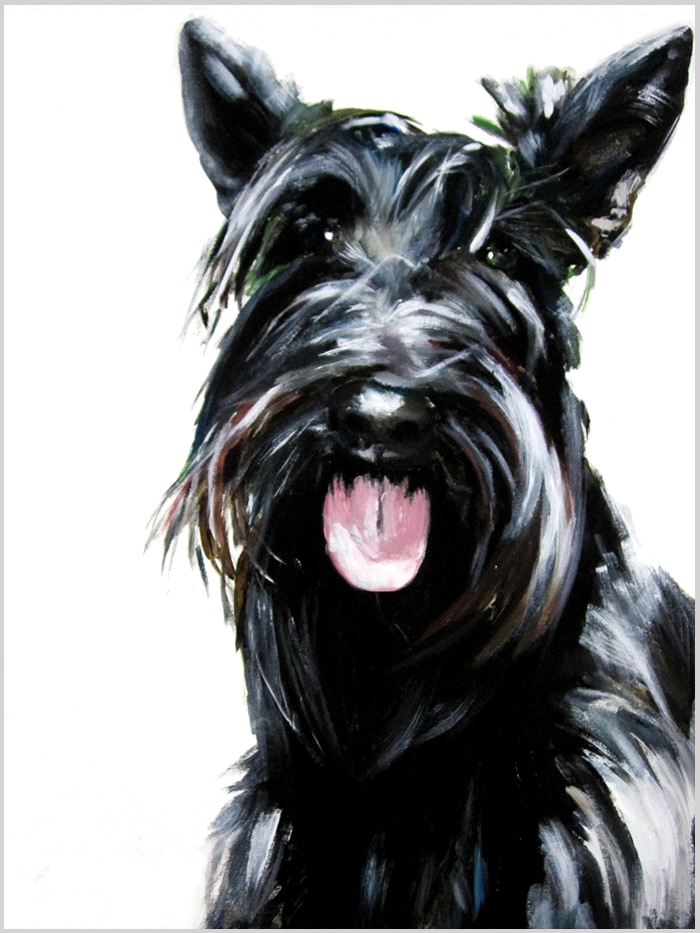 illustrated portrait of a long haired black dog sticking its tongue out