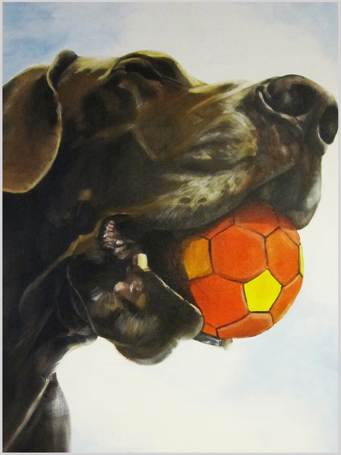 art portrait of a brown dog catching an orange ball